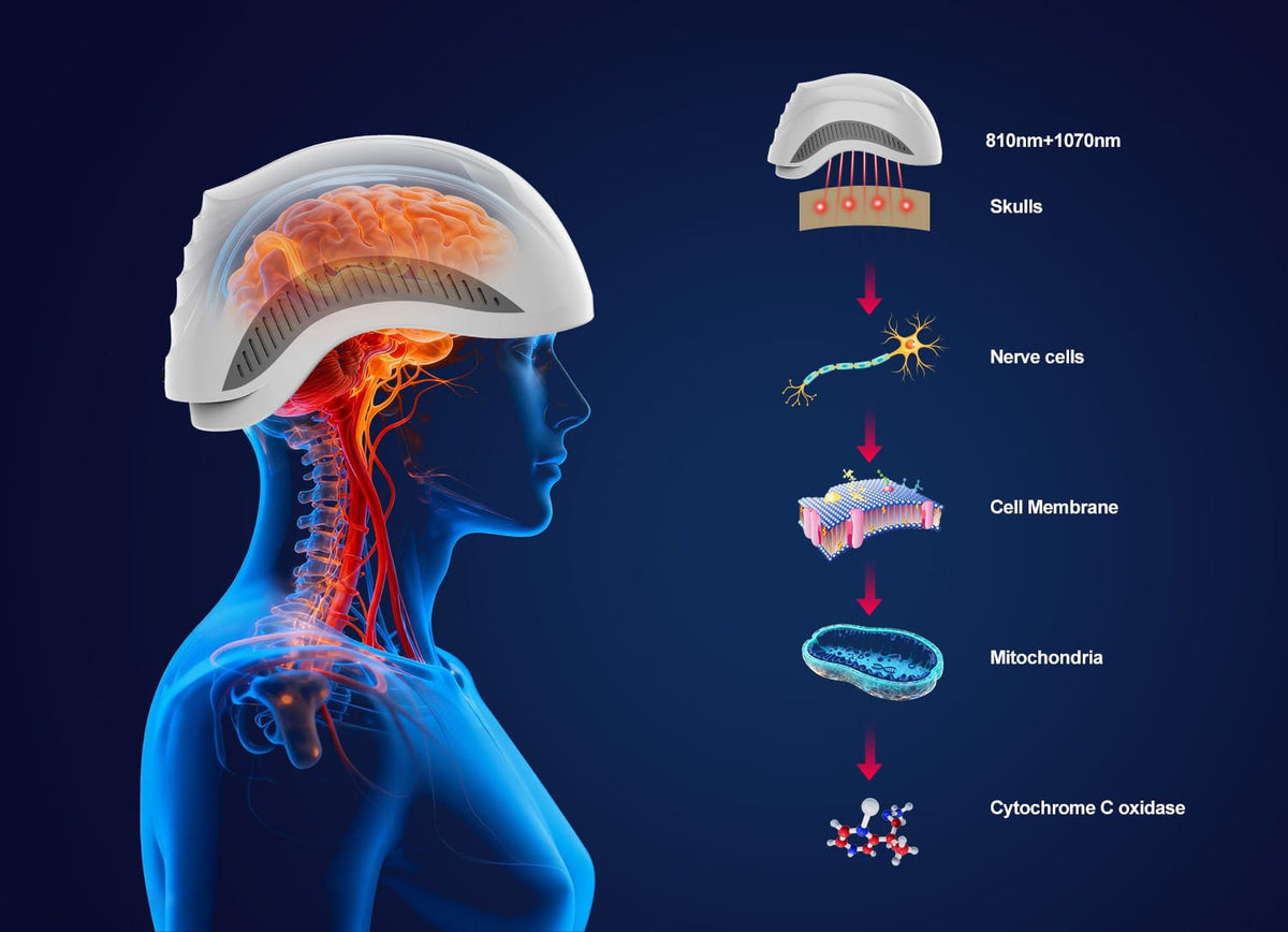 LuciPhi™ PBM Helmet - Advanced photobiomodulation for precise neurotechnology - Uno Vita AS