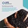 Black Cumin Seed Oil and Curcumin Elite