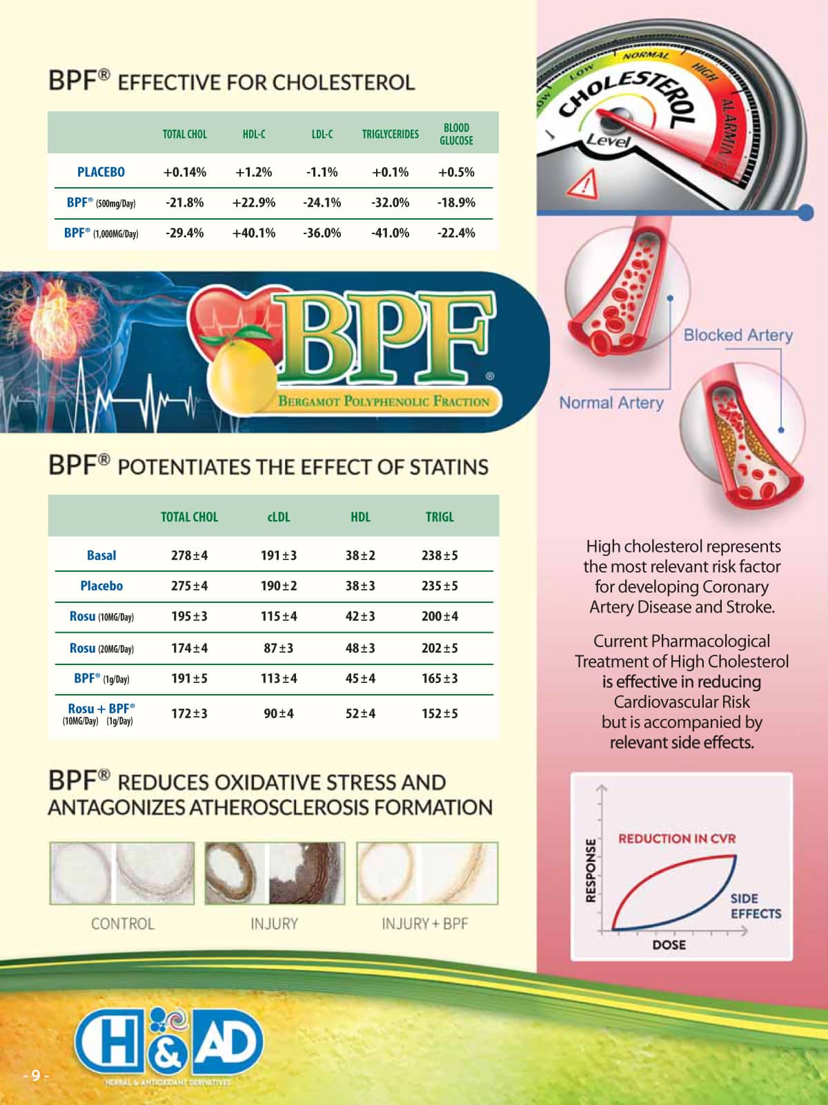 Organic Citrus Bergamot - 38% Polyphenols - BPF - Cholesterol