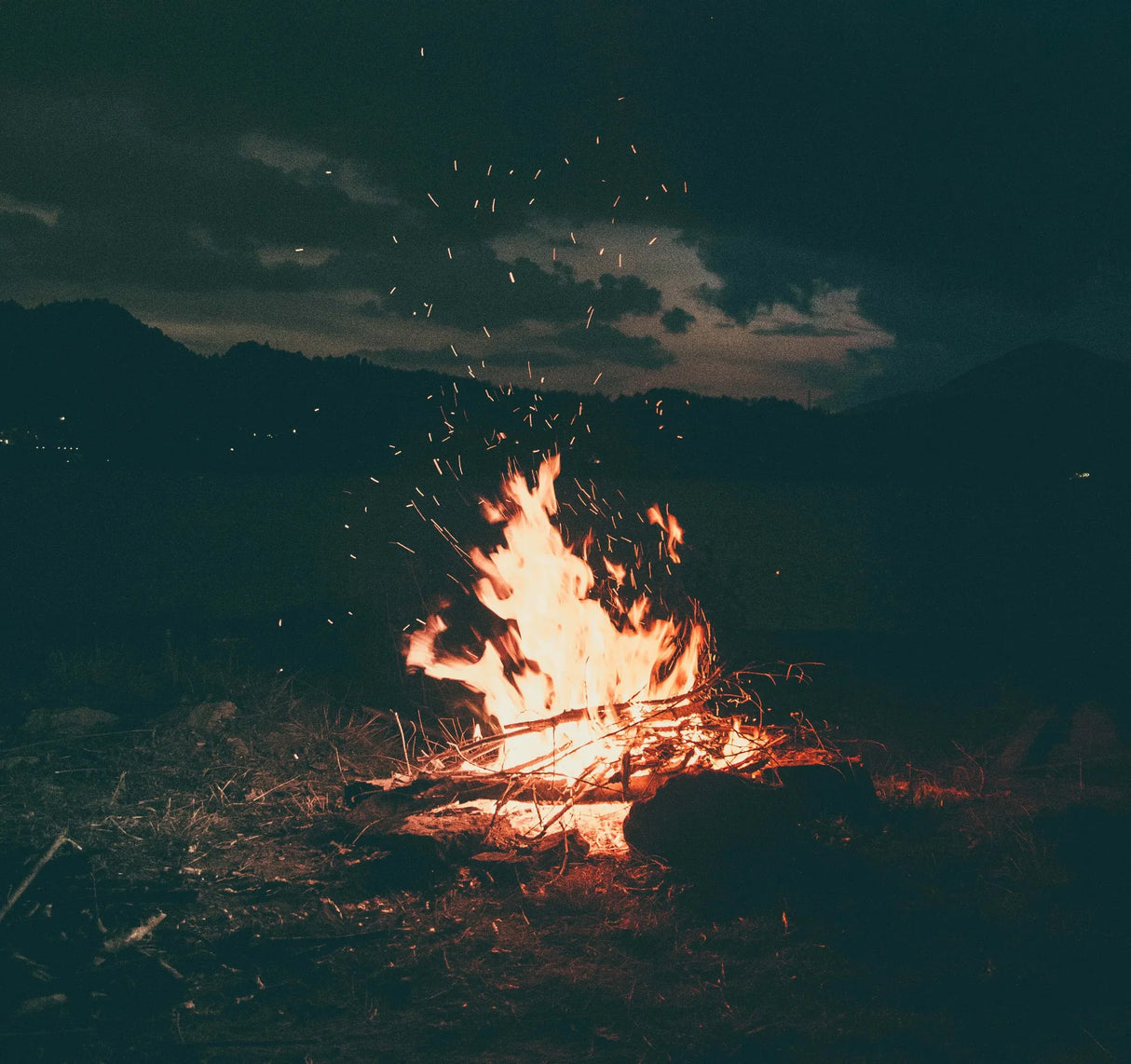 Paleo Collagen Hydrolysate – Grass-Fed (500 grams)