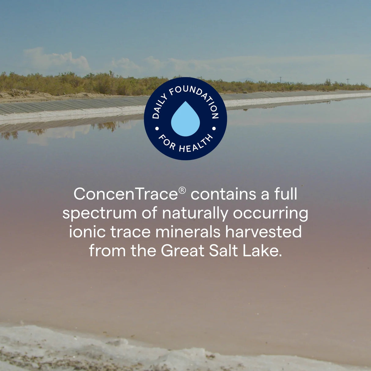 ConcenTrace® Trace Mineral Drops (237 ml)