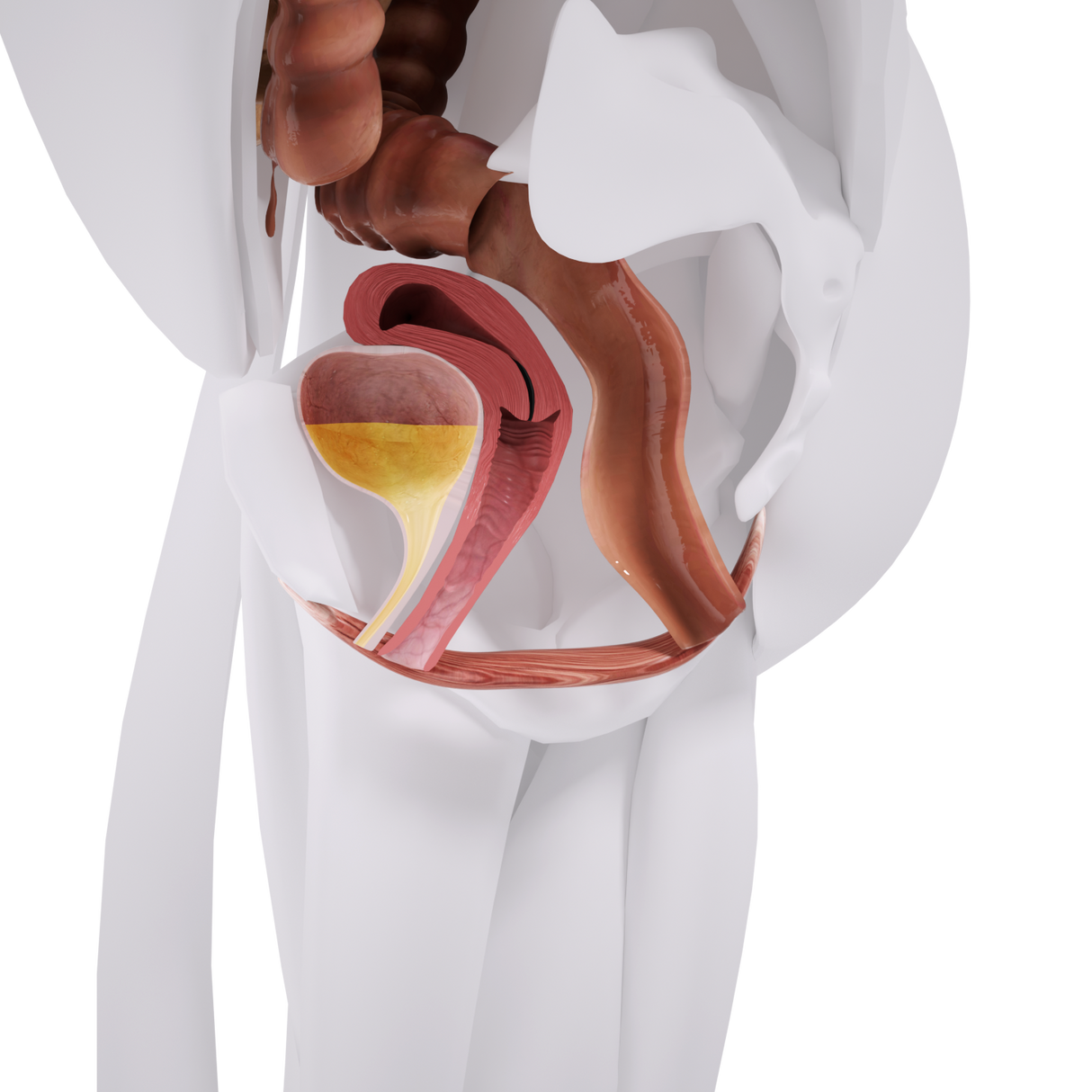 Uno Vita`s EM Chair Mini Pelvic Floor Stimulation