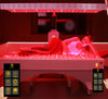 Uno Vita`s RLPRO2000L 9-Wavelength High-Power Light Therapy Panel