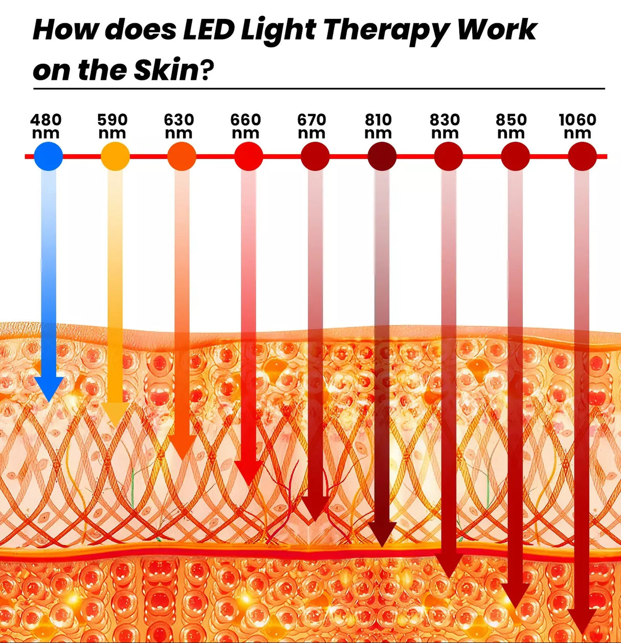 Uno Vita’s RLPRO300-X2 – Innovative Red Light Therapy (9 waves – music – Luci Phi)
