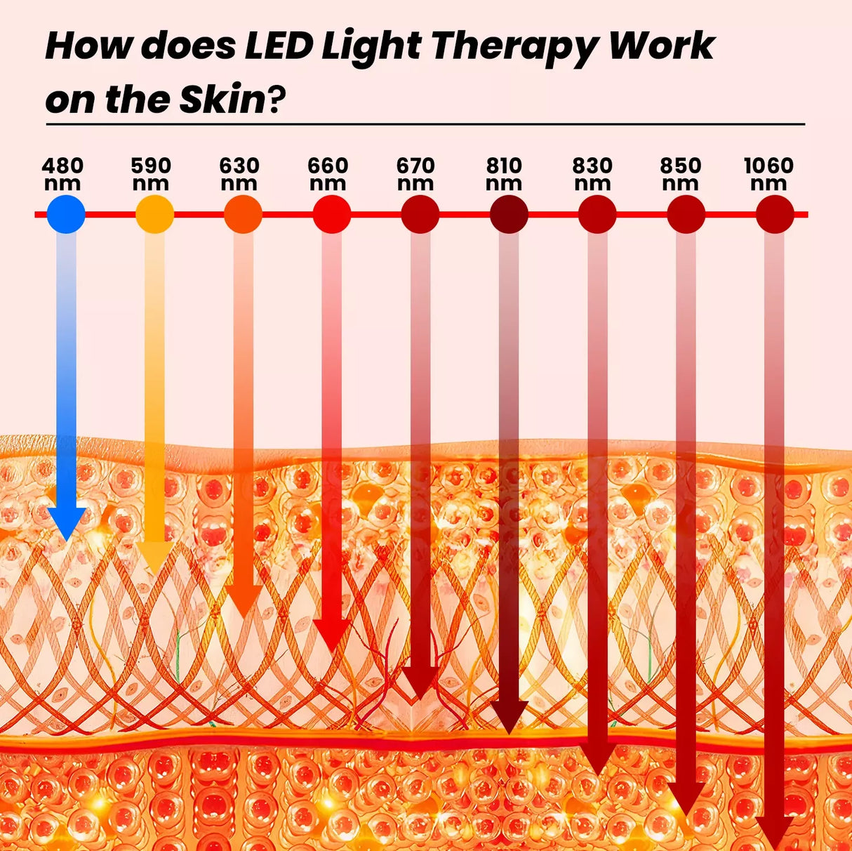 Uno Vita’s RLPRO600Max-X2 – Innovative Red Light Therapy (9 waves – music – Luci Phi)