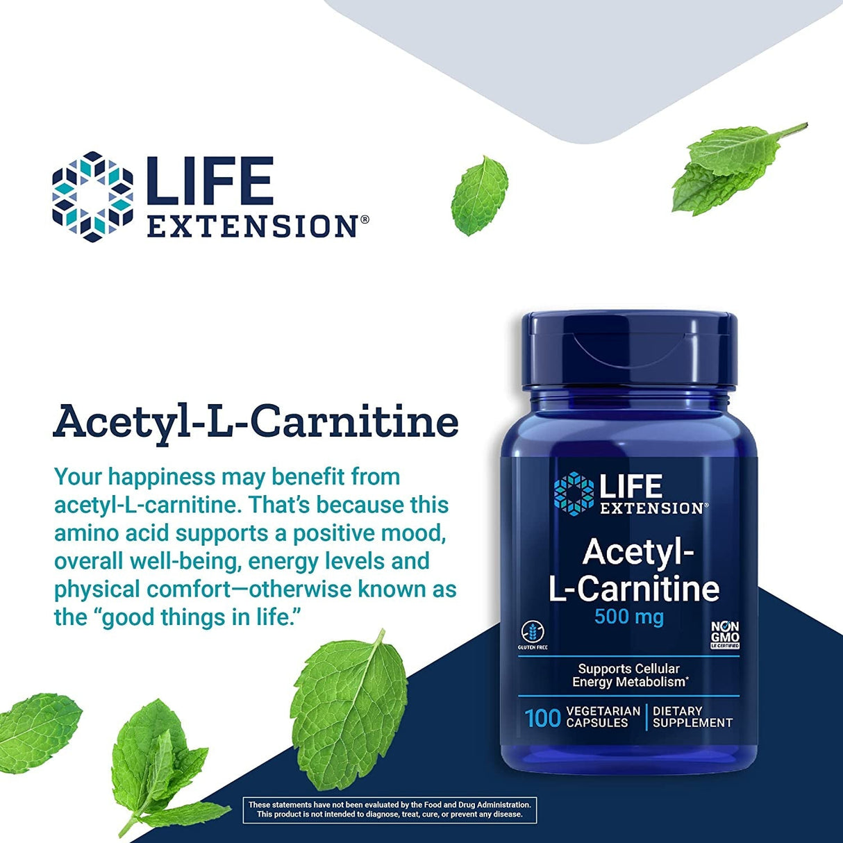 Acetyl - L - Carnitine (500 mg) - Uno Vita AS