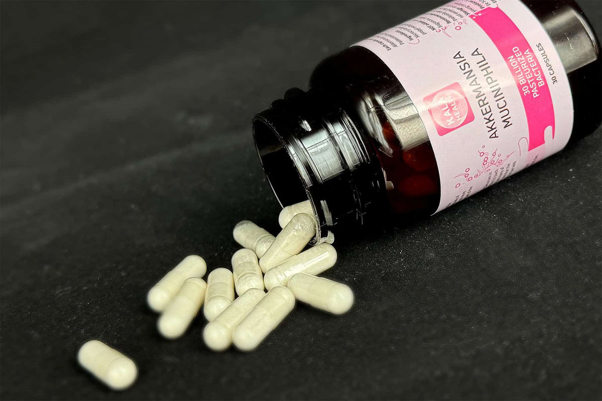 Akkermansia Muciniphila Capsules (30 capsules of 30 billion) - Uno Vita AS