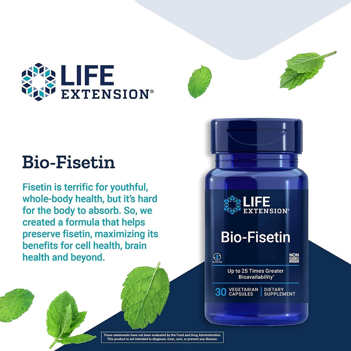 Bio-Fisetin - Advanced Antioxidant for Cellular Health and Cognitive Function - Uno Vita AS