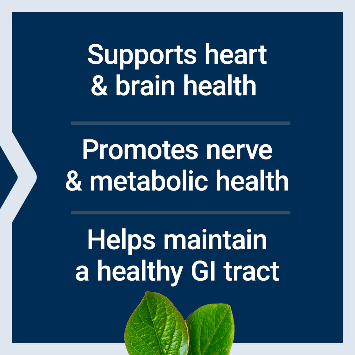 BioActive Folate & Vitamin B12 - Uno Vita AS