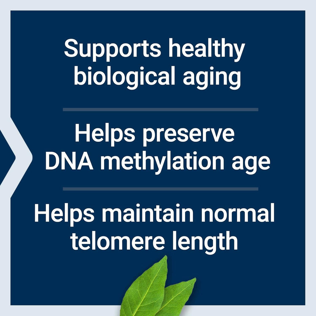 Biological Aging Defense - Uno Vita AS