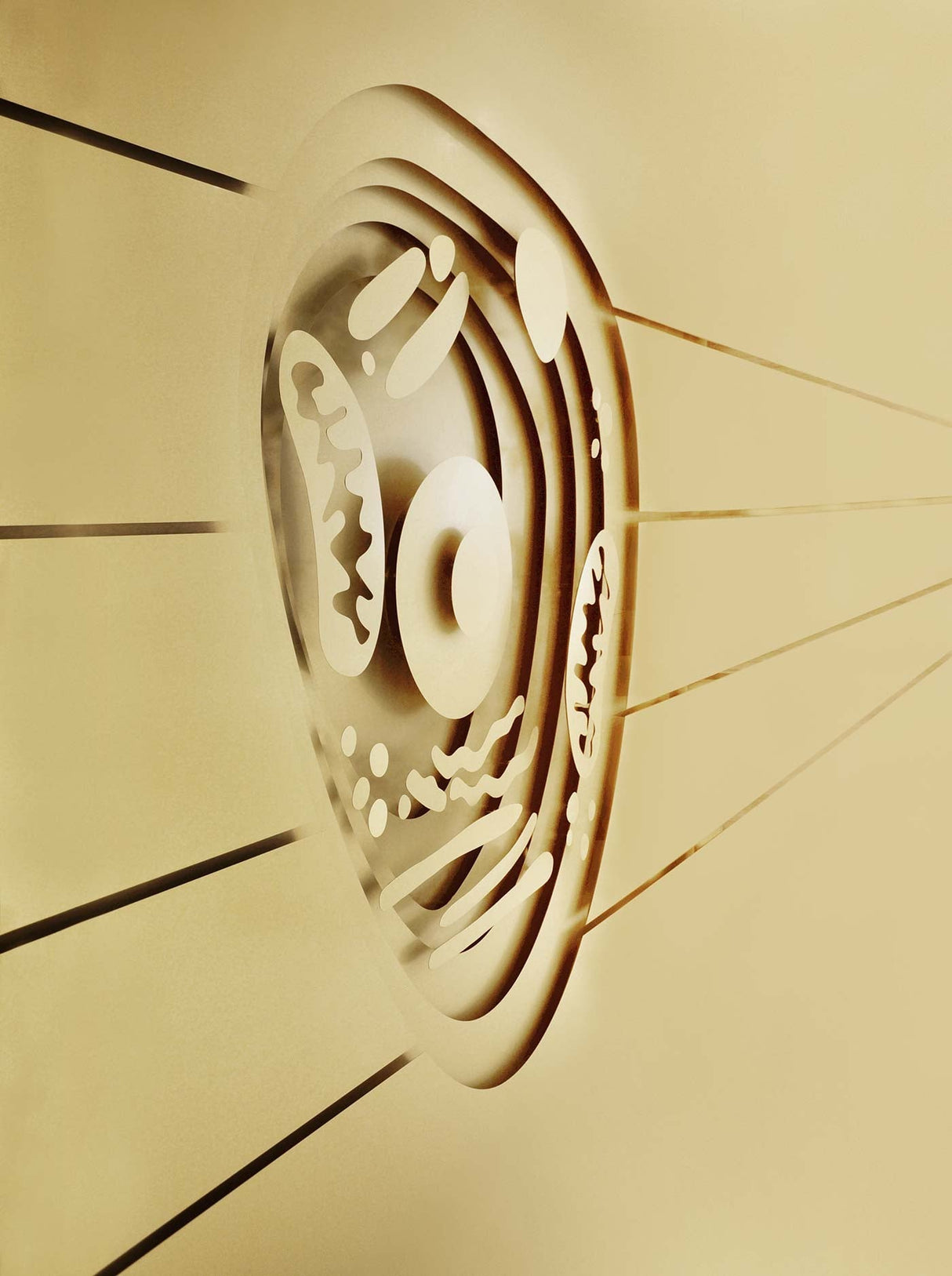 CellVital - Homecare PEMF therapy system - Uno Vita AS