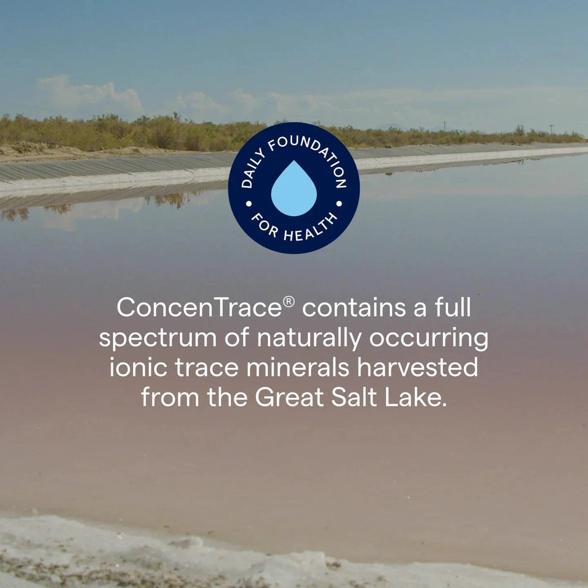 ConcenTrace® Trace Mineral Drops (237 ml) - Uno Vita AS