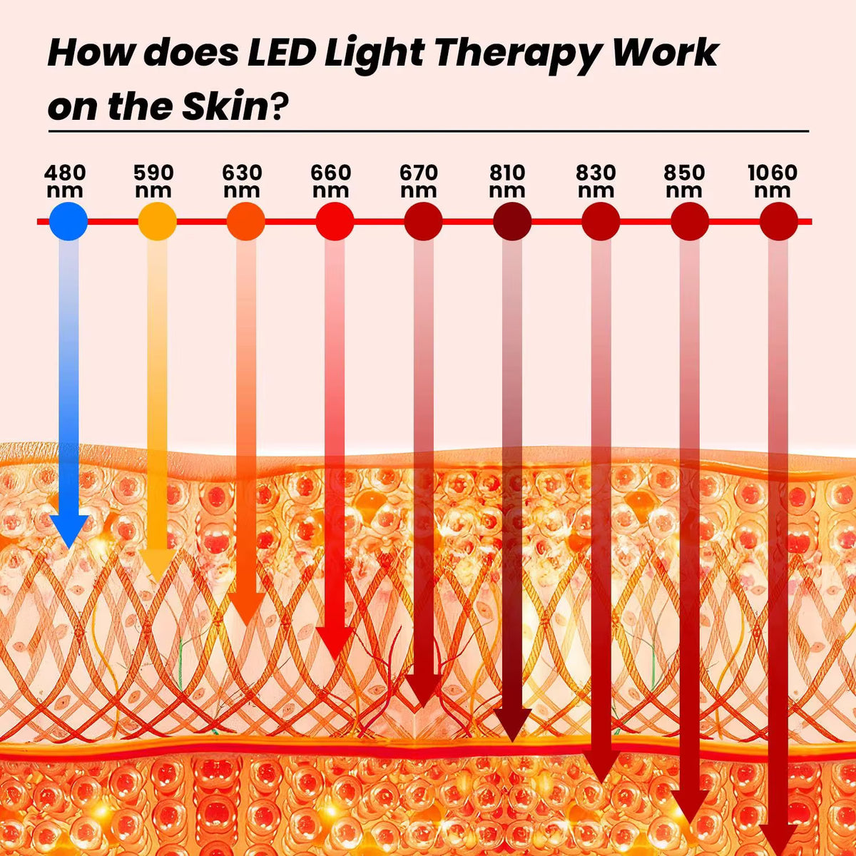 Rødlys og NIR-panel med 9 bølgelengder, viser lysbølgelengder og effekter på huden. Fargekodet for enkel referanse.