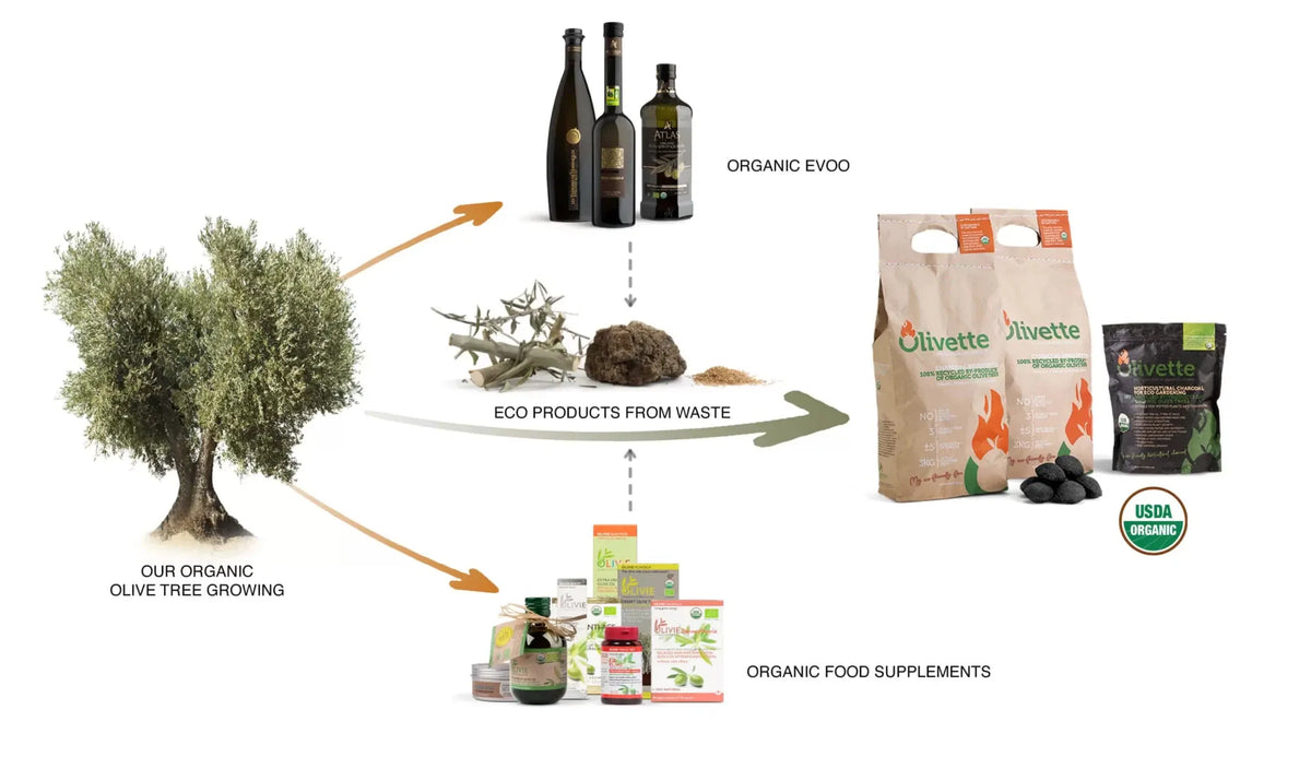 Desert Miracle - Atlas Olive Oil - Moroccan Ultra Premium, Cold First Pressed, Extra Virgin - Uno Vita AS