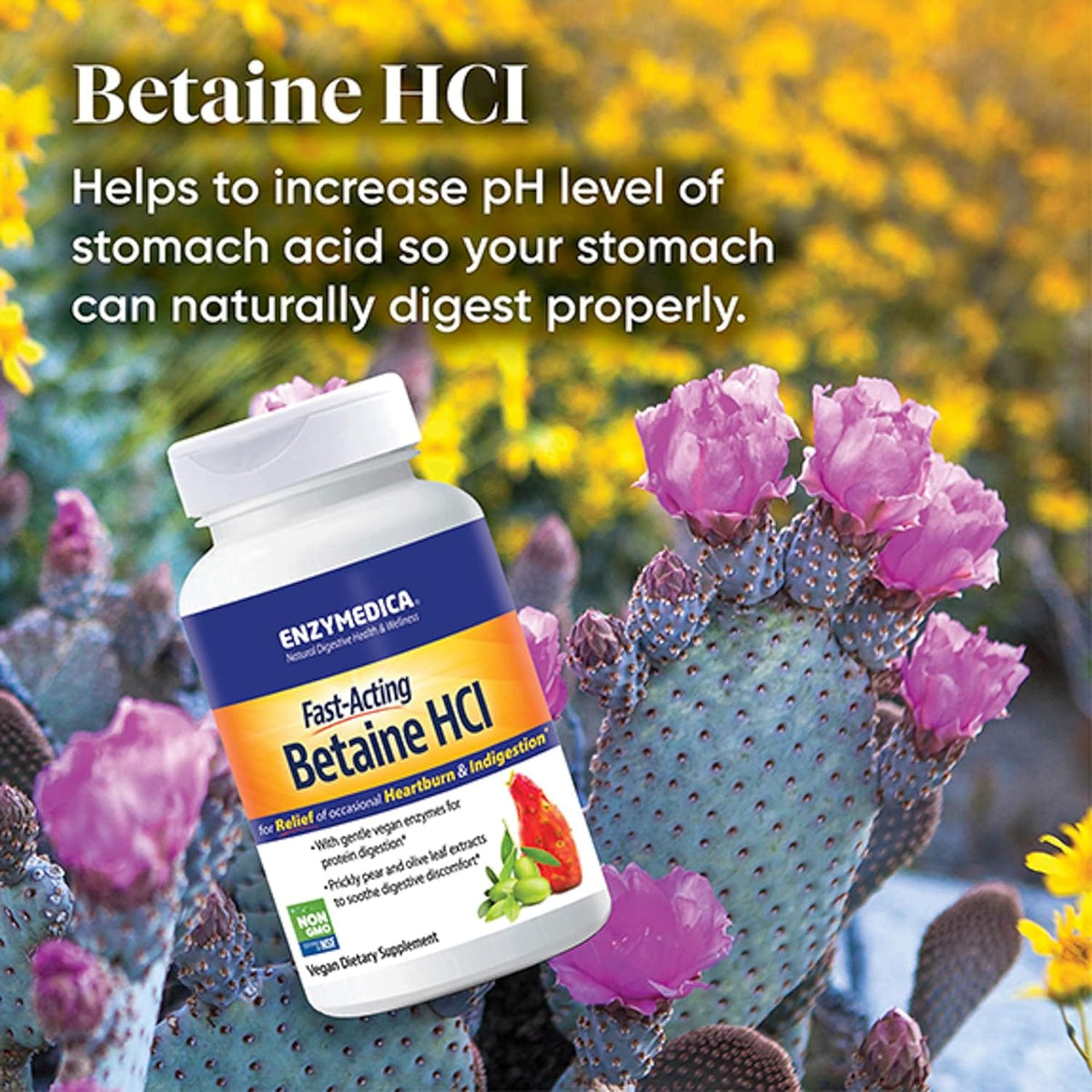 Enzymedica Betaine HCl (120) - Uno Vita AS