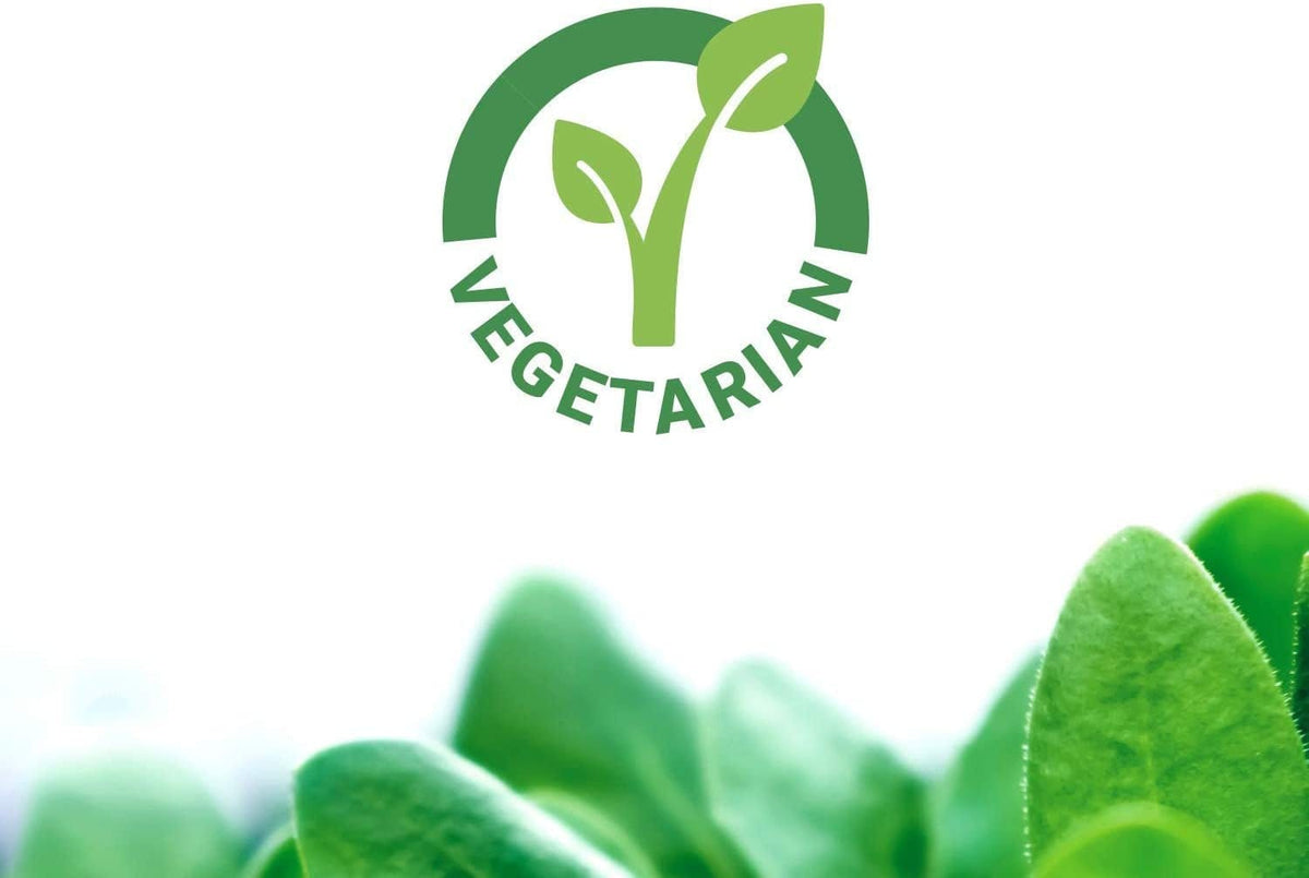 Fast - C ® and Bio - Quercetin Phytosome - Uno Vita AS