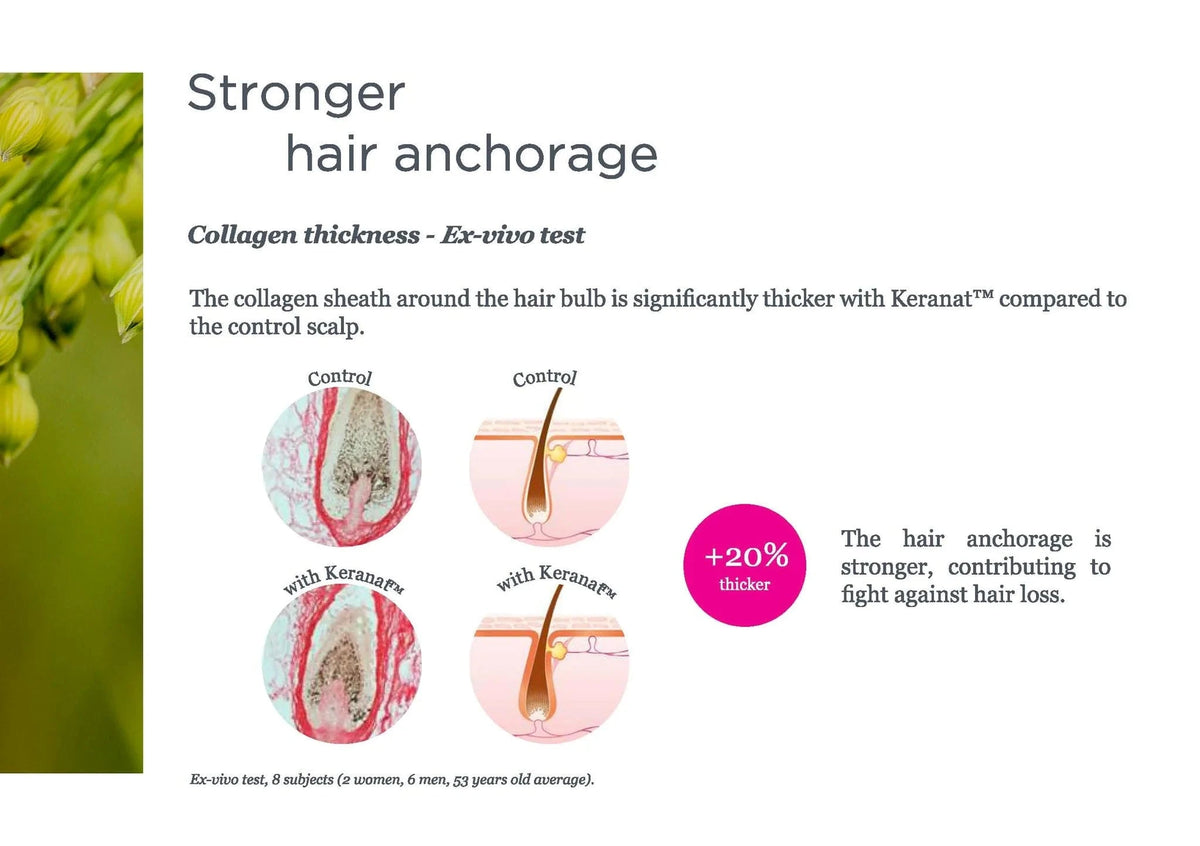 Hair Complex - Clinically Proven Keranat - Improves Hair Brightness, Volume & Beauty - Uno Vita AS