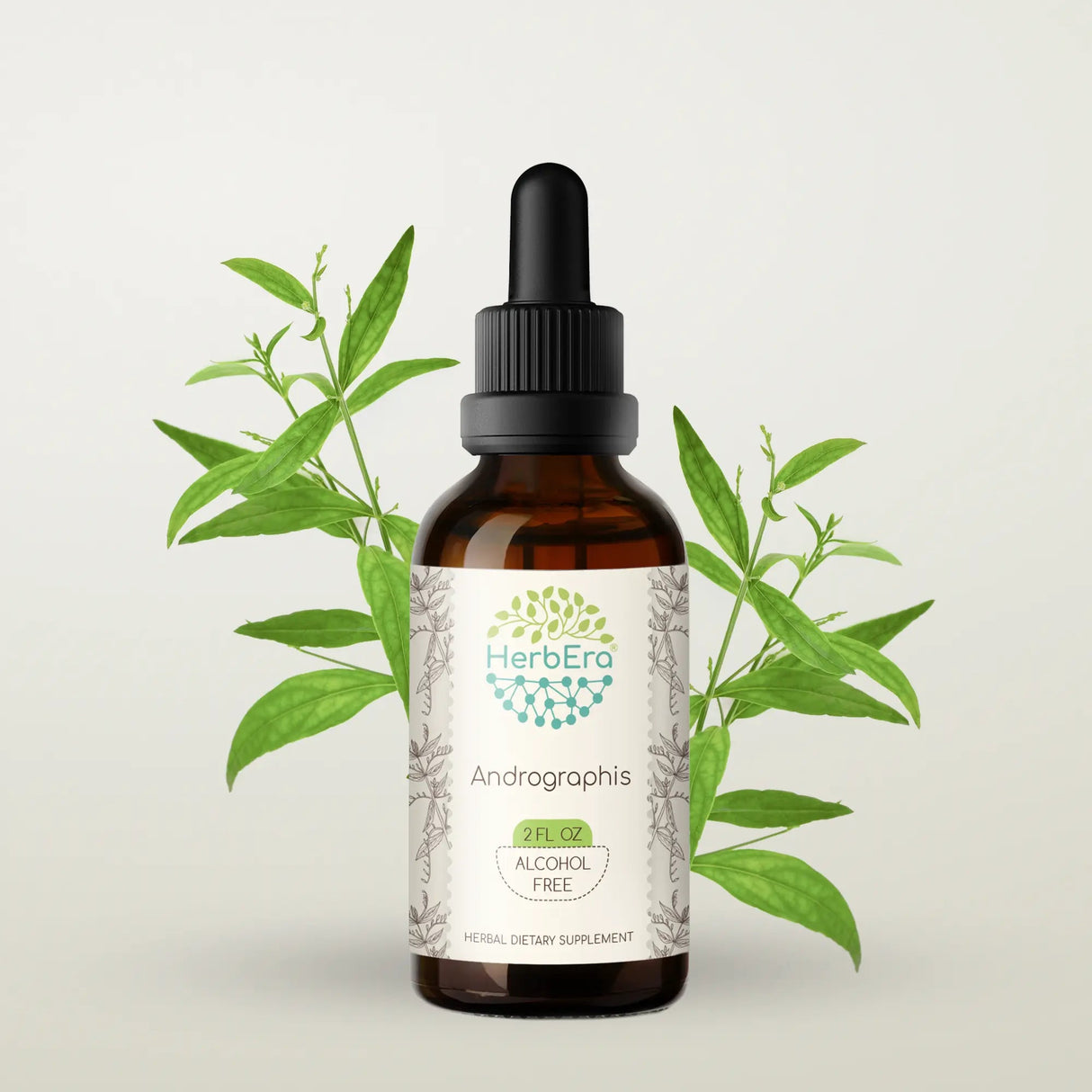 HerbEra Andrographis Tincture - Uno Vita AS