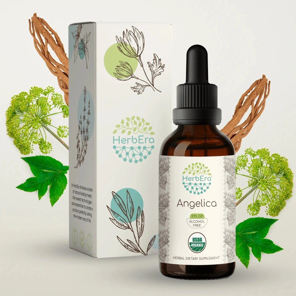 HerbEra Angelica Tincture - Uno Vita AS
