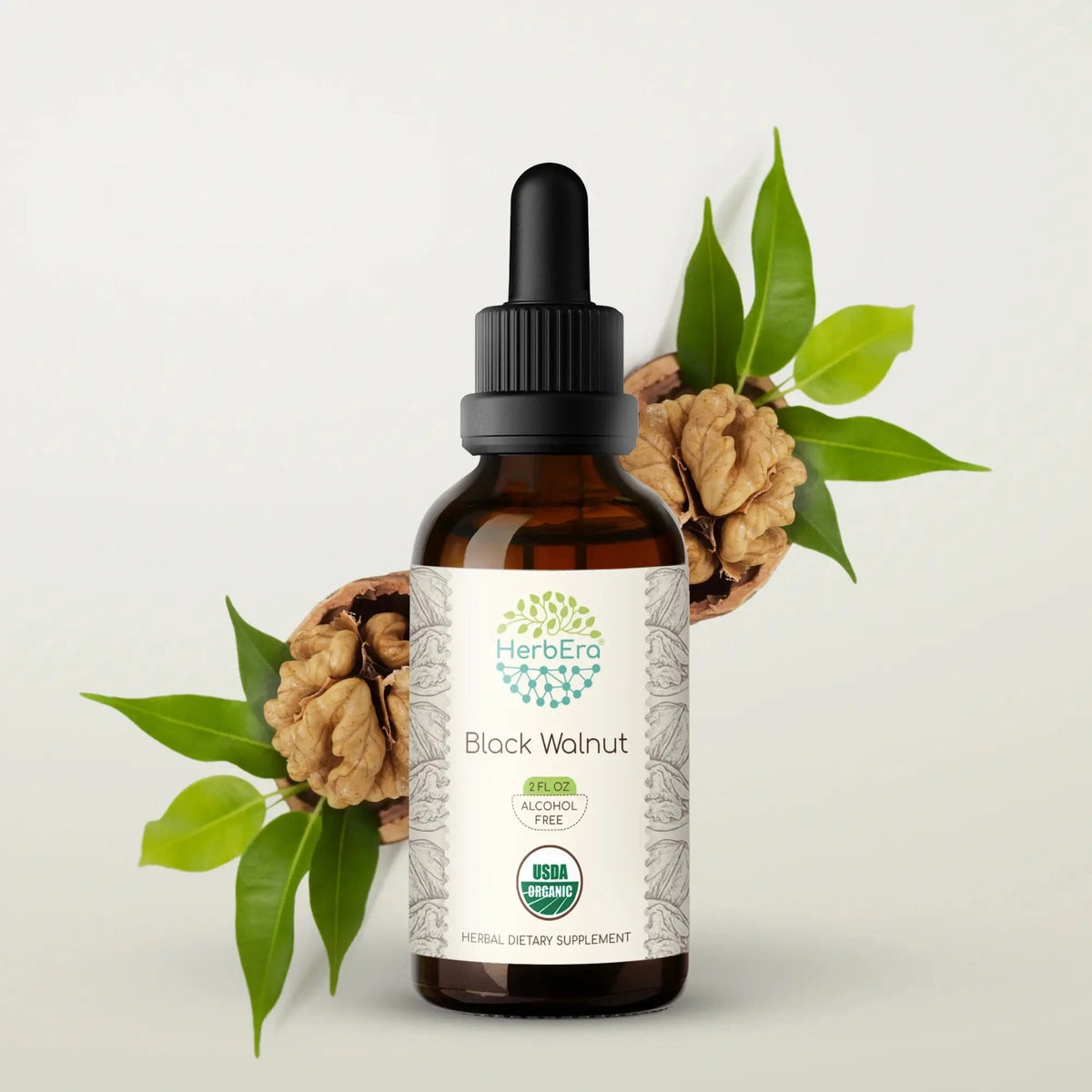 HerbEra Black Walnut Tincture 59 ml i mørk glassflaske med dråpeteller, alkoholfri tinktur av sort valnøtt