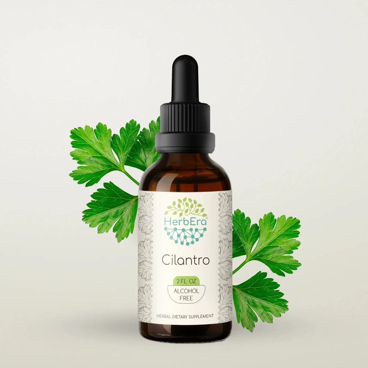 HerbEra Cilantro Tincture 59 ml flaske med dråpeteller, alkoholfritt økologisk korianderblad-ekstrakt