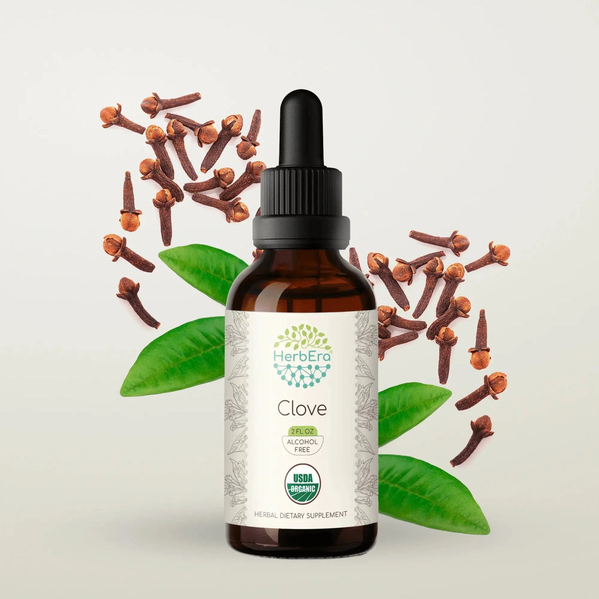 HerbEra Clove Tincture 59 ml flaske med flytende nellikekstrakt i 1:3 styrke av Syzygium aromaticum