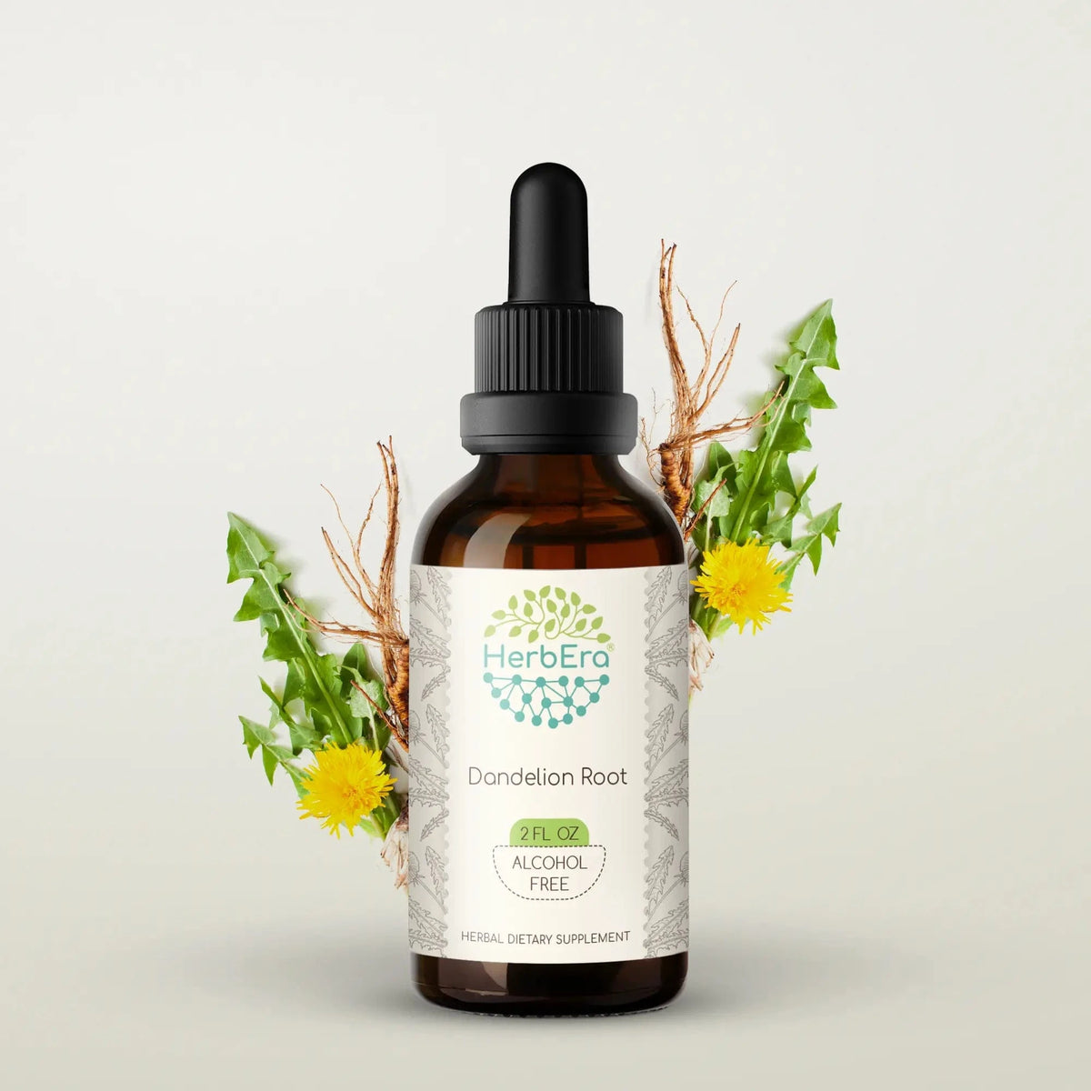 HerbEra Dandelion Root Tincture 59 ml flaske med flytende ekstrakt av økologisk løvetannrot