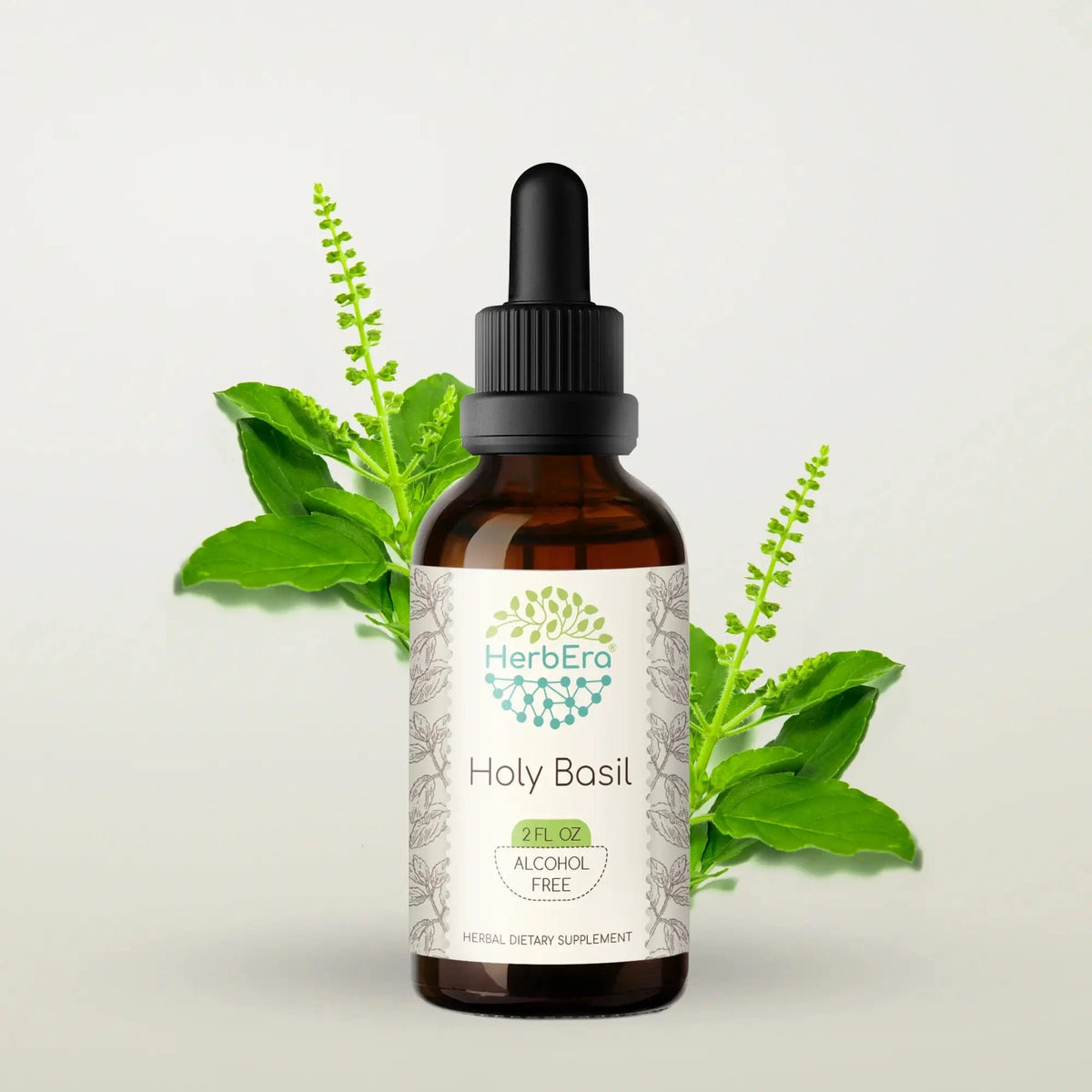 HerbEra Holy Basil Tincture 59 ml i mørk glassflaske med pipette, urteekstrakt av hellig basilikum