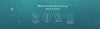 ION Gut Health (RESTORE) 946 ml - Uno Vita AS