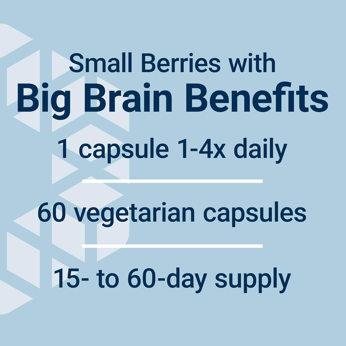 Life Extension Blueberry Extract Capsules - Uno Vita AS