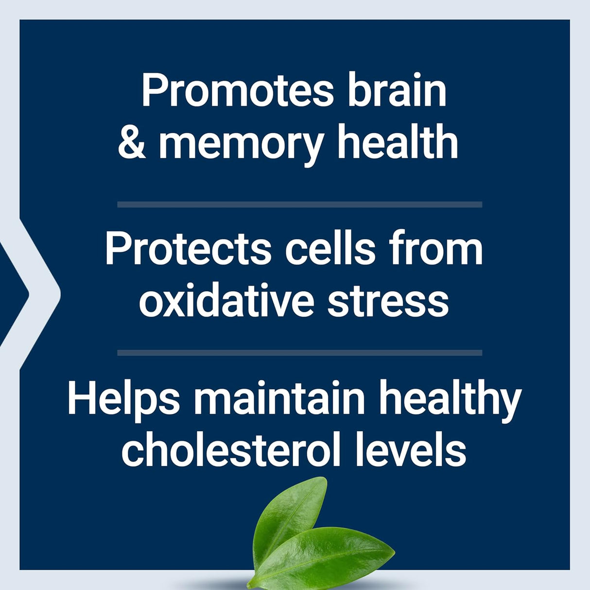 Life Extension Blueberry Extract Capsules - Uno Vita AS