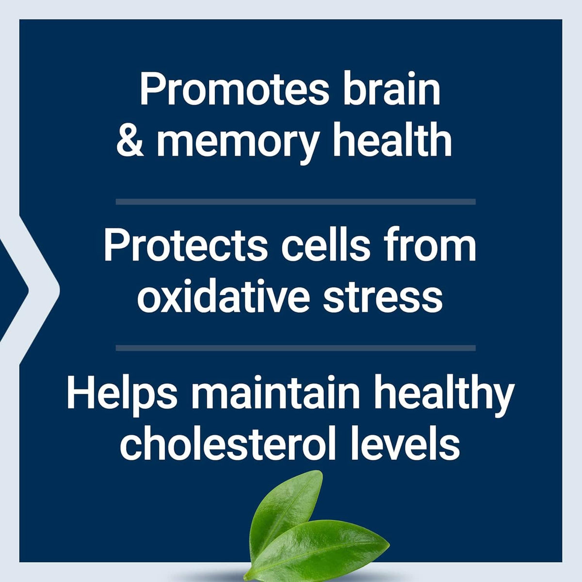 Life Extension Blueberry Extract Capsules - Uno Vita AS