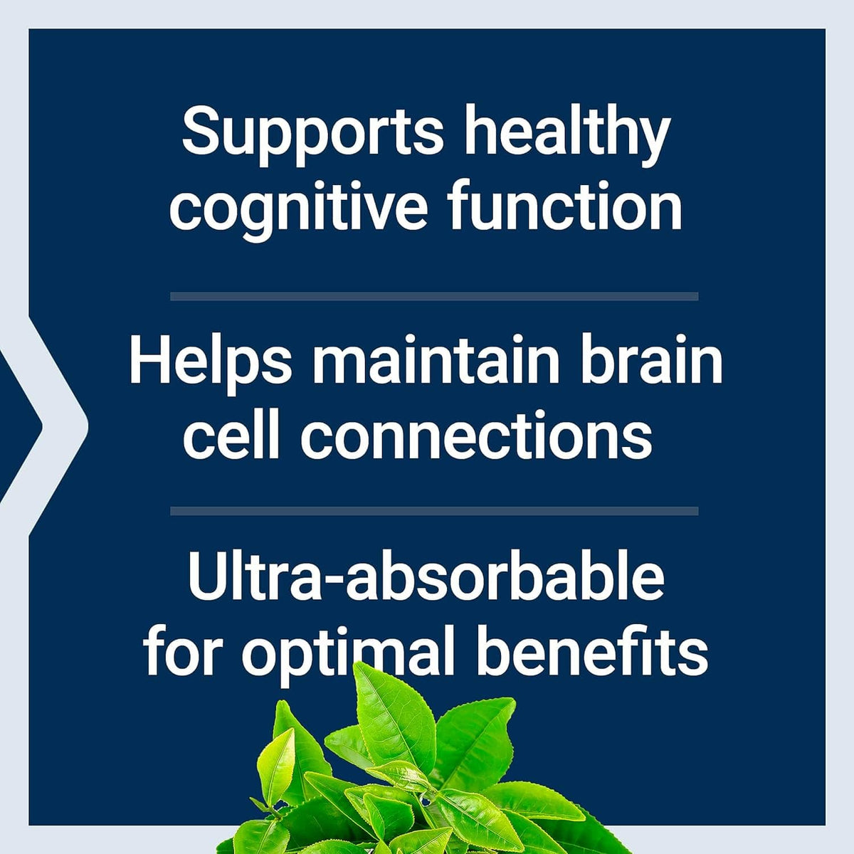 NeuroMag Magnesium L - Threonate (90) (Best Seller) - Uno Vita AS
