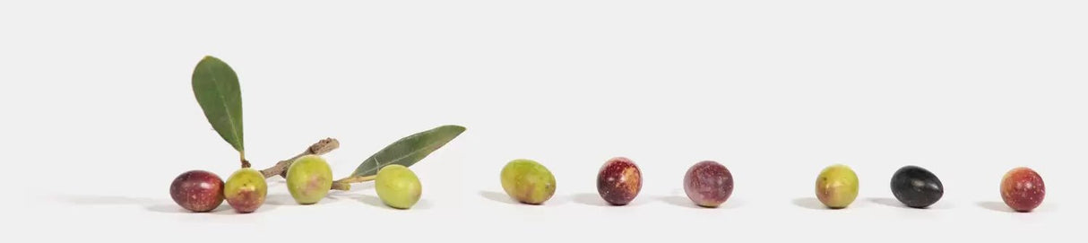 OLIVIE Anti - Age - The Ultimate Organic Anti - Aging Solution - Uno Vita AS