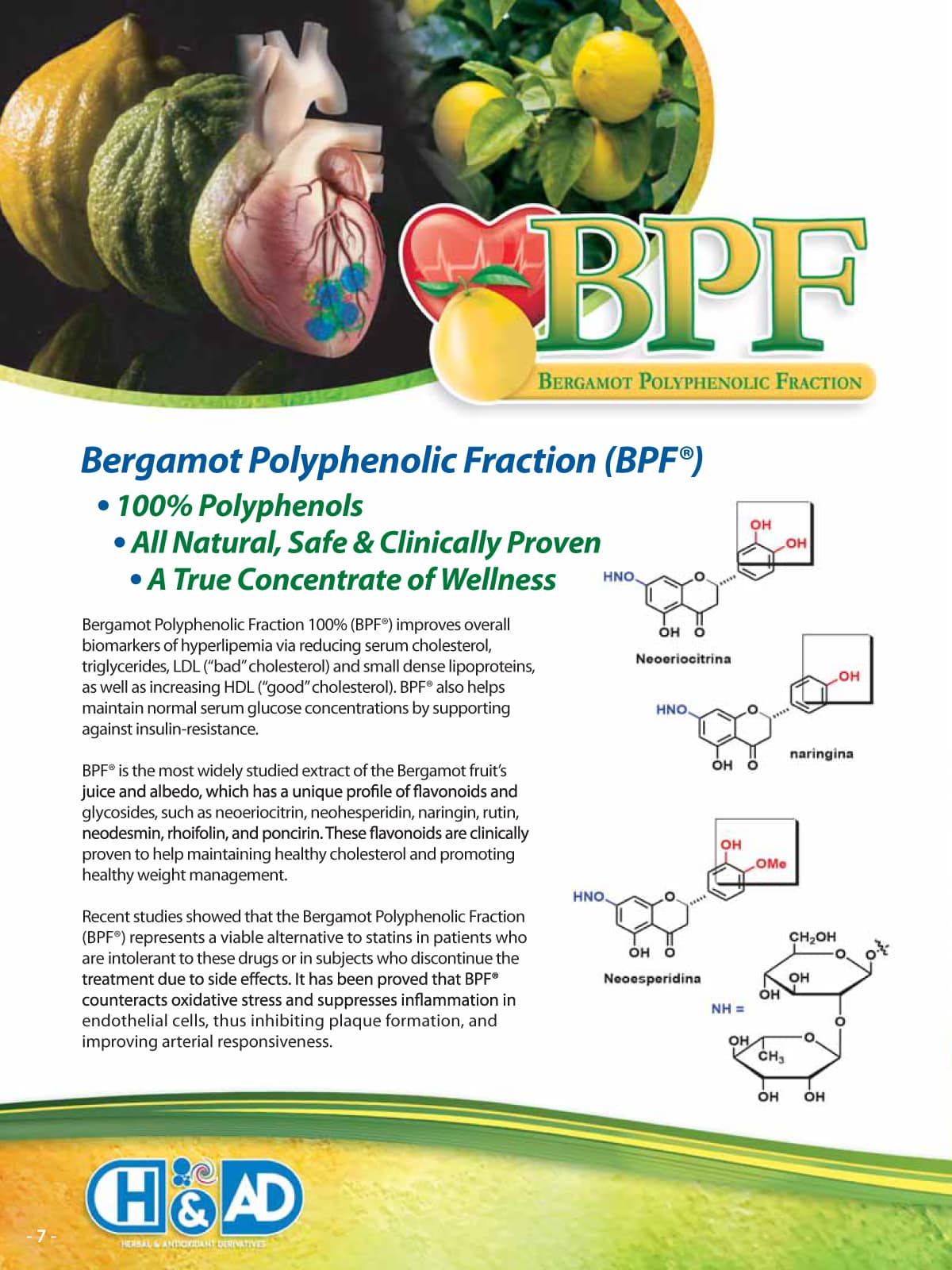 Organic Citrus Bergamot - 38% Polyphenols - BPF - Cholesterol - Uno Vita AS