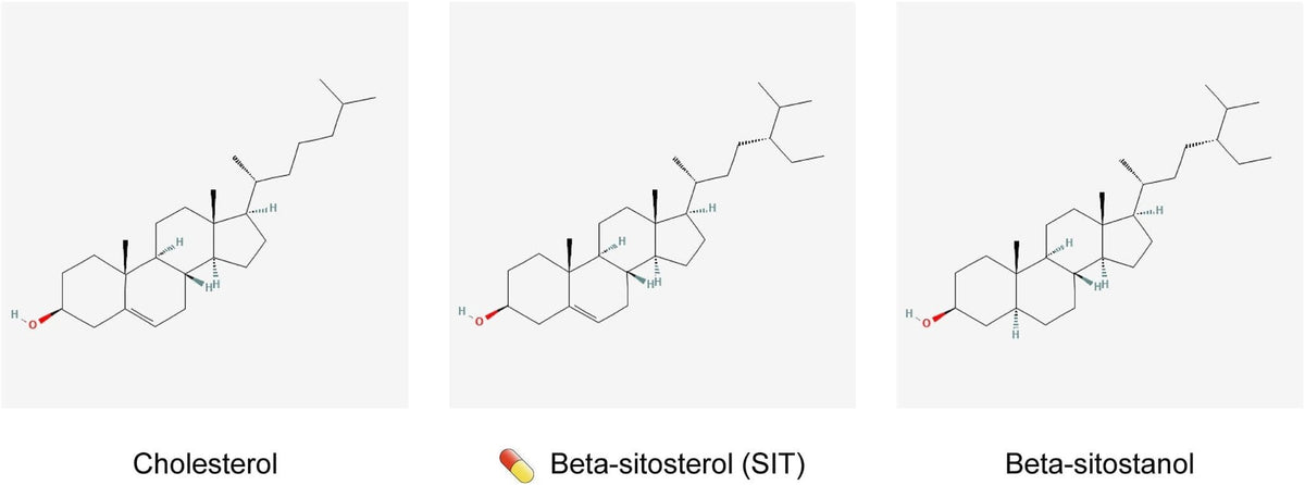 Plant Sterols – Beta - Sitosterol - Uno Vita AS
