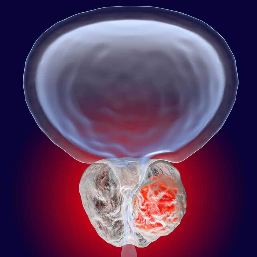 Plant Sterols – Beta - Sitosterol - Uno Vita AS