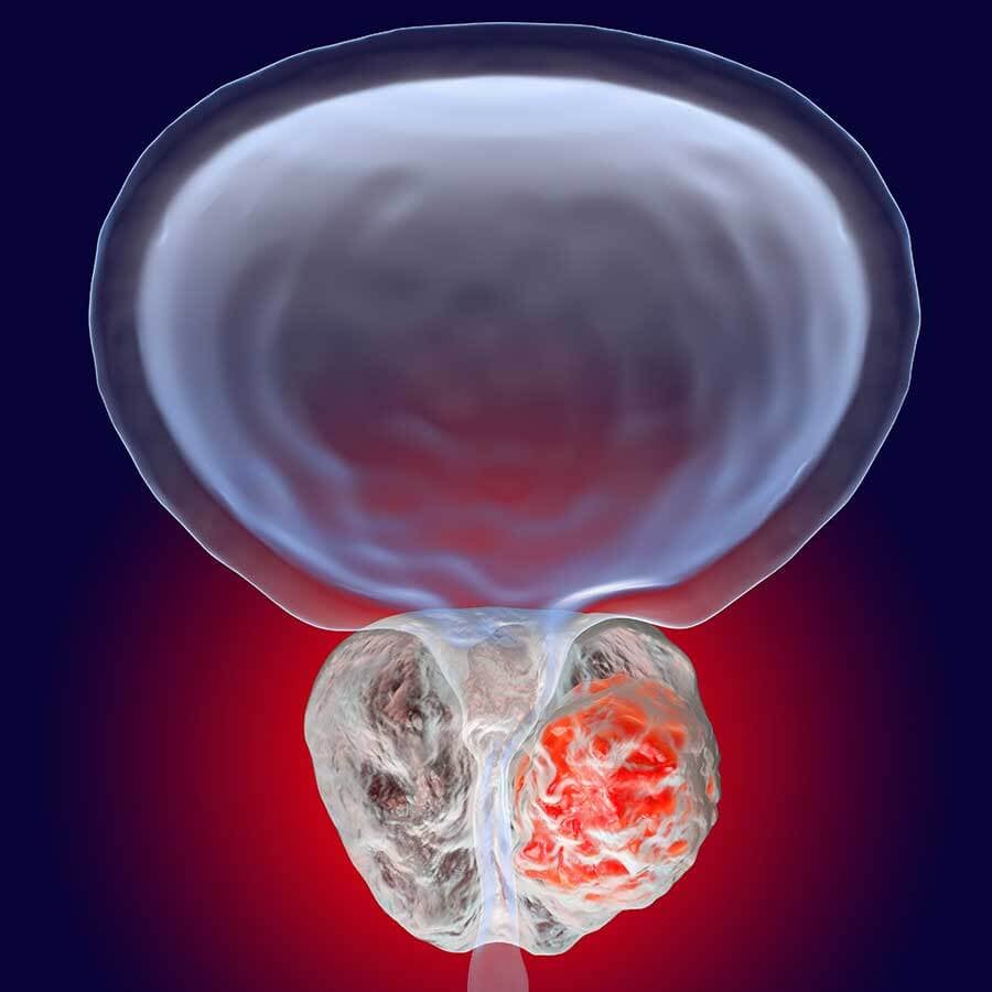 Plant Sterols – Beta-Sitosterol - Uno Vita AS