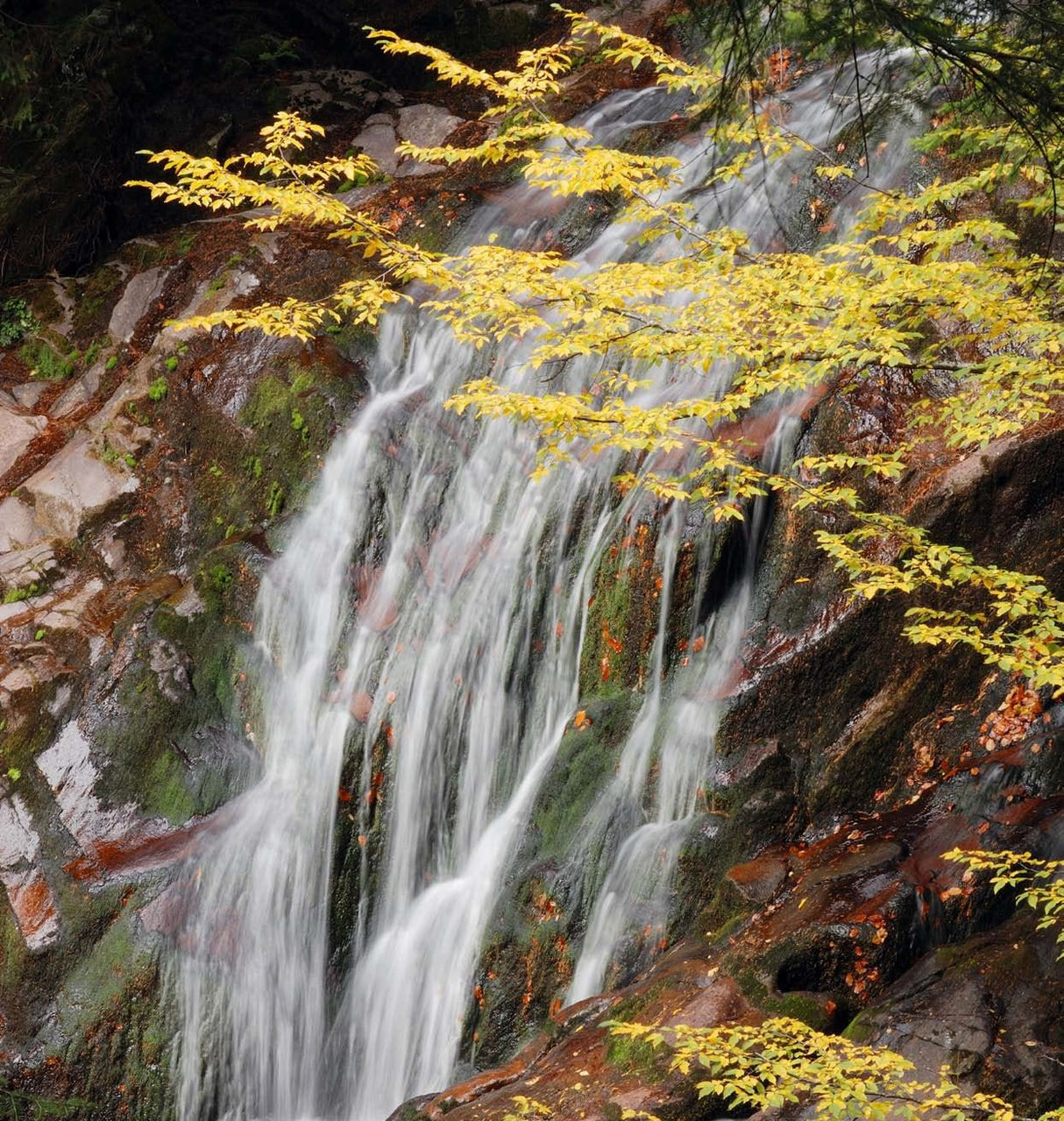 River of Life Vortex Water Revitalizer (1 inch) – Whole House - Uno Vita AS