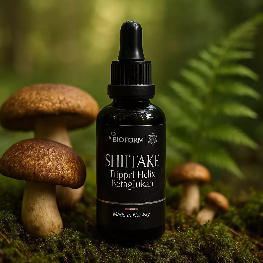 Shiitake Beta-Glucan 50 ml flaske med flytende Lentinex® og trippel helix β-glukan fra shiitake-mycelium
