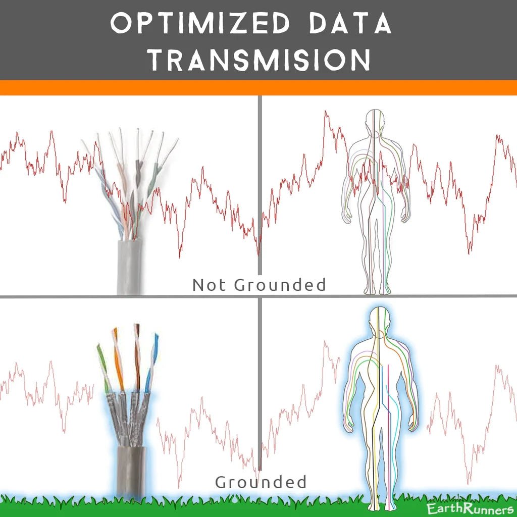 SoftSilver Earting Pillow Case - Uno Vita AS