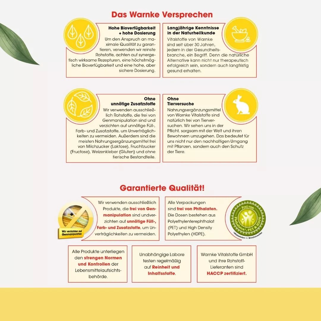 Kapsler med hvetekimekstrakt, standartisert spermidin, plantebasert kapselskall. Pakke med 120 kapsler.