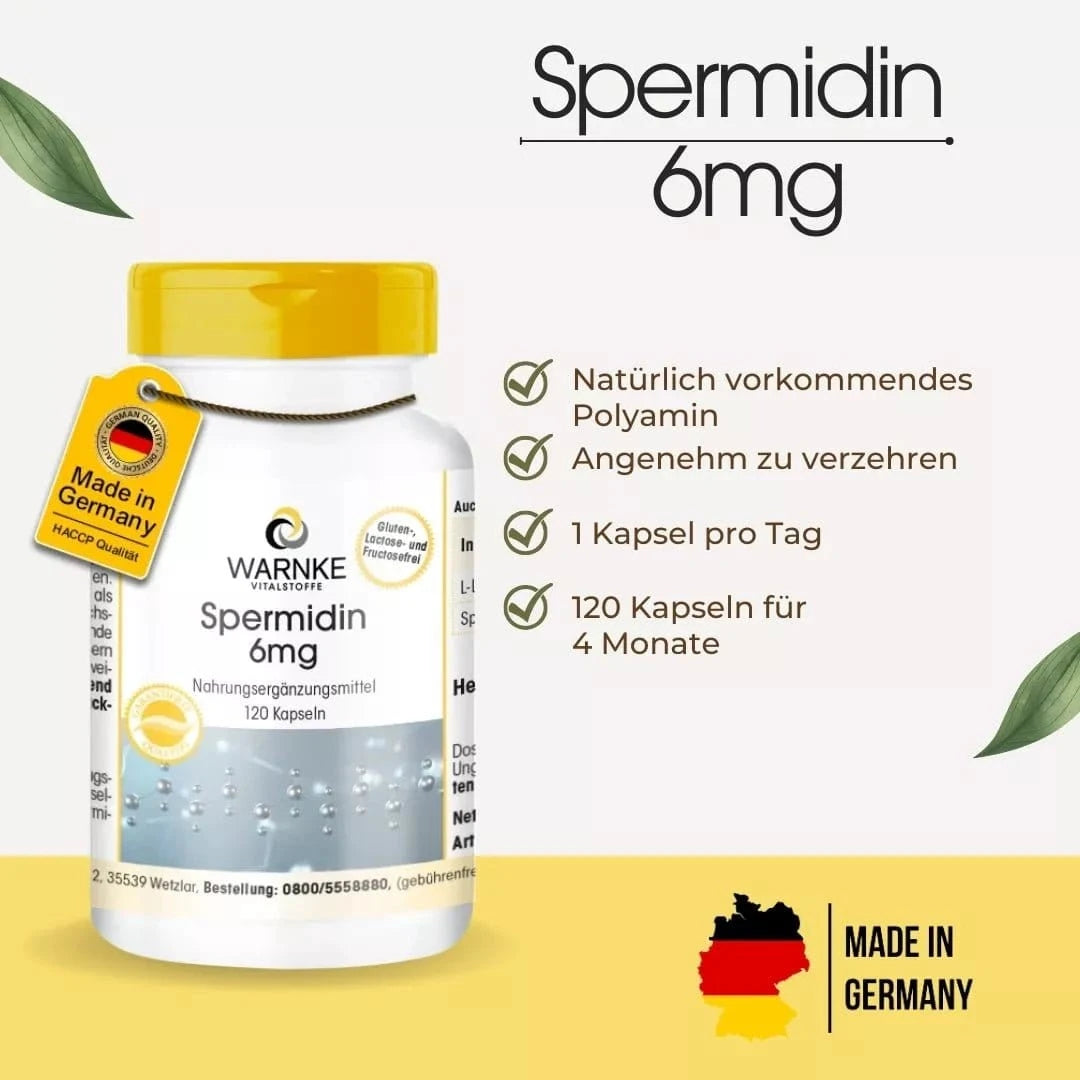 Spermidin 6 mg kapsler med gul kork, merking av tysk kvalitet og plantebasert innhold, 120 kapsler per flaske.