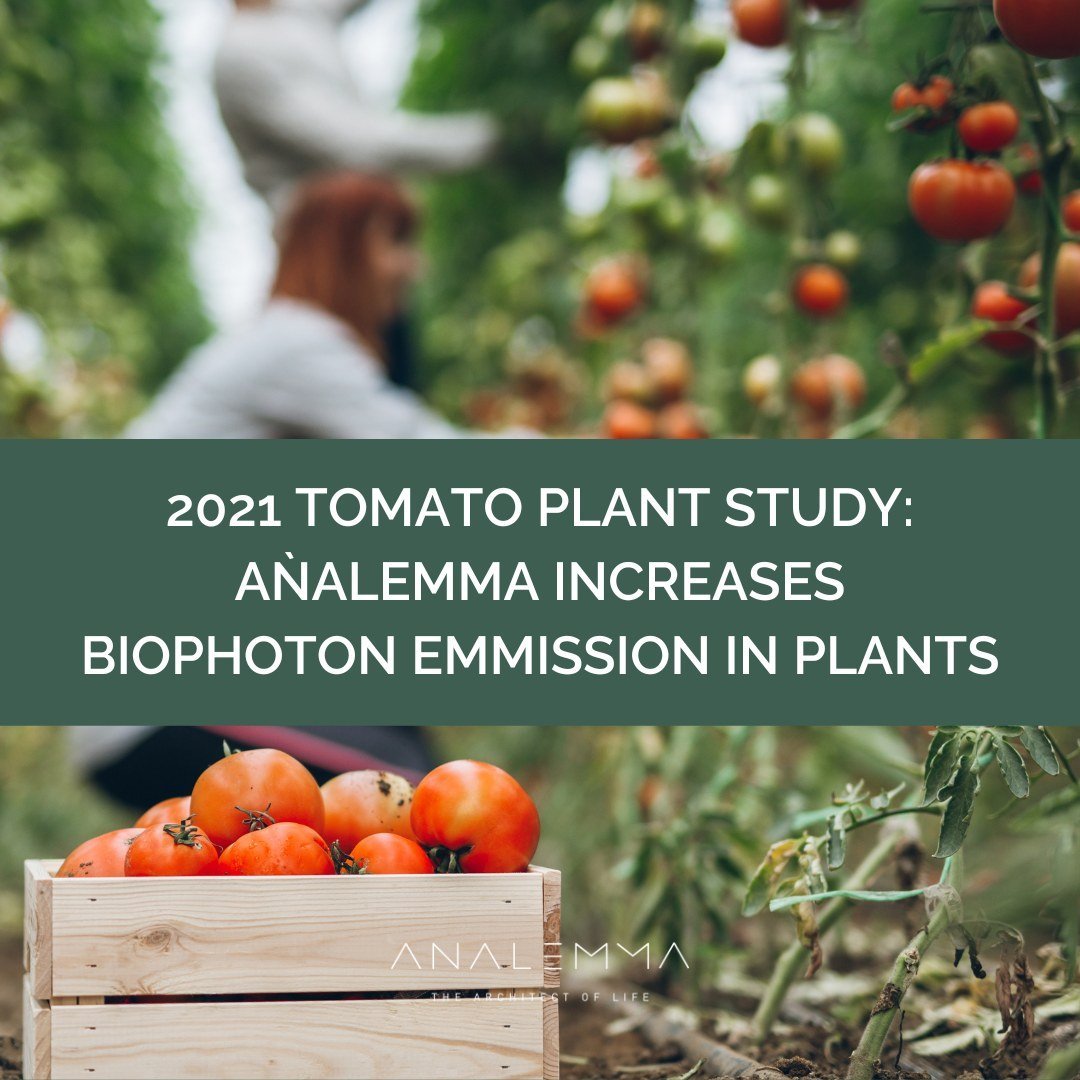 The Analemma Wand - Uno Vita AS