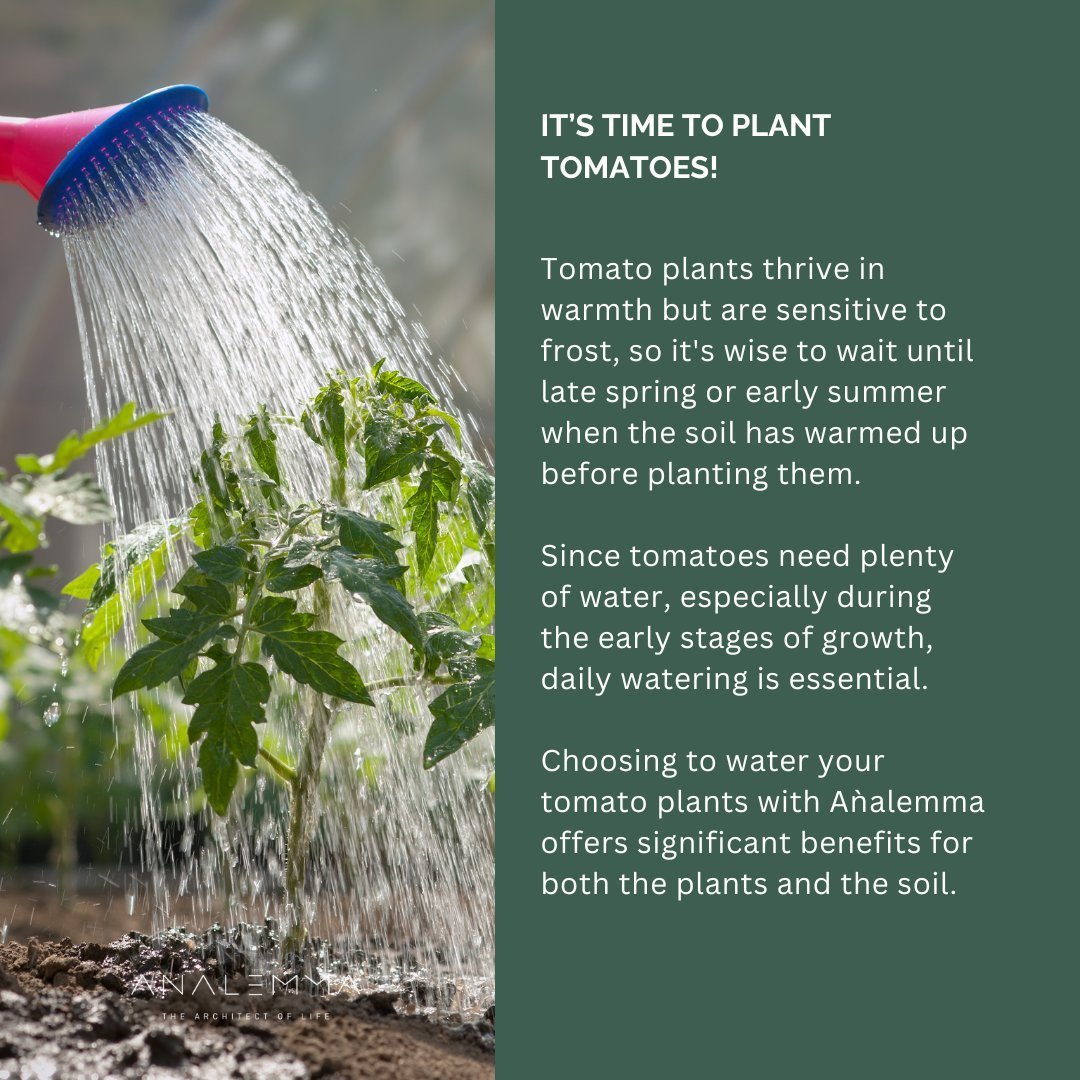 The Analemma Wand - Uno Vita AS