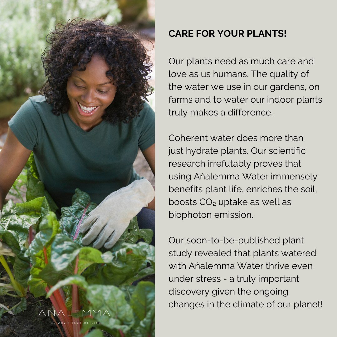 The Analemma Wand - Uno Vita AS