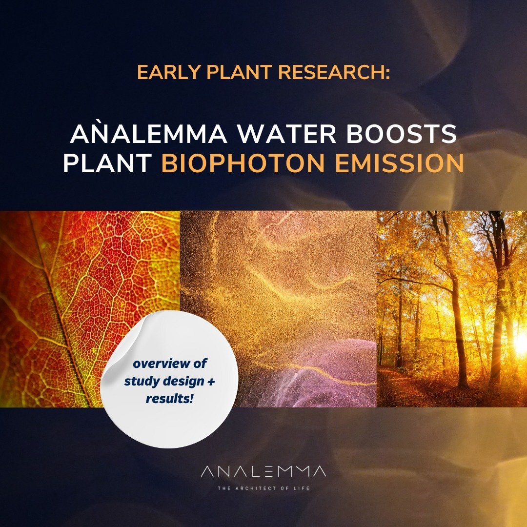 The Analemma Wand - Uno Vita AS