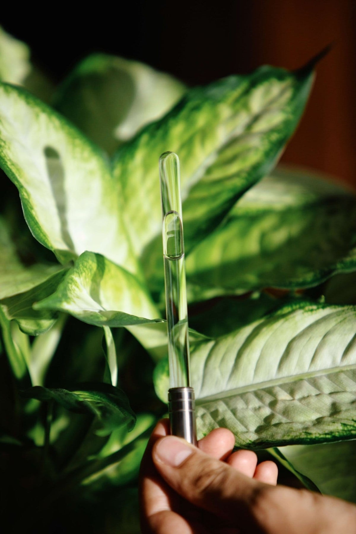 The Analemma Wand (luxury walnut) - Uno Vita AS
