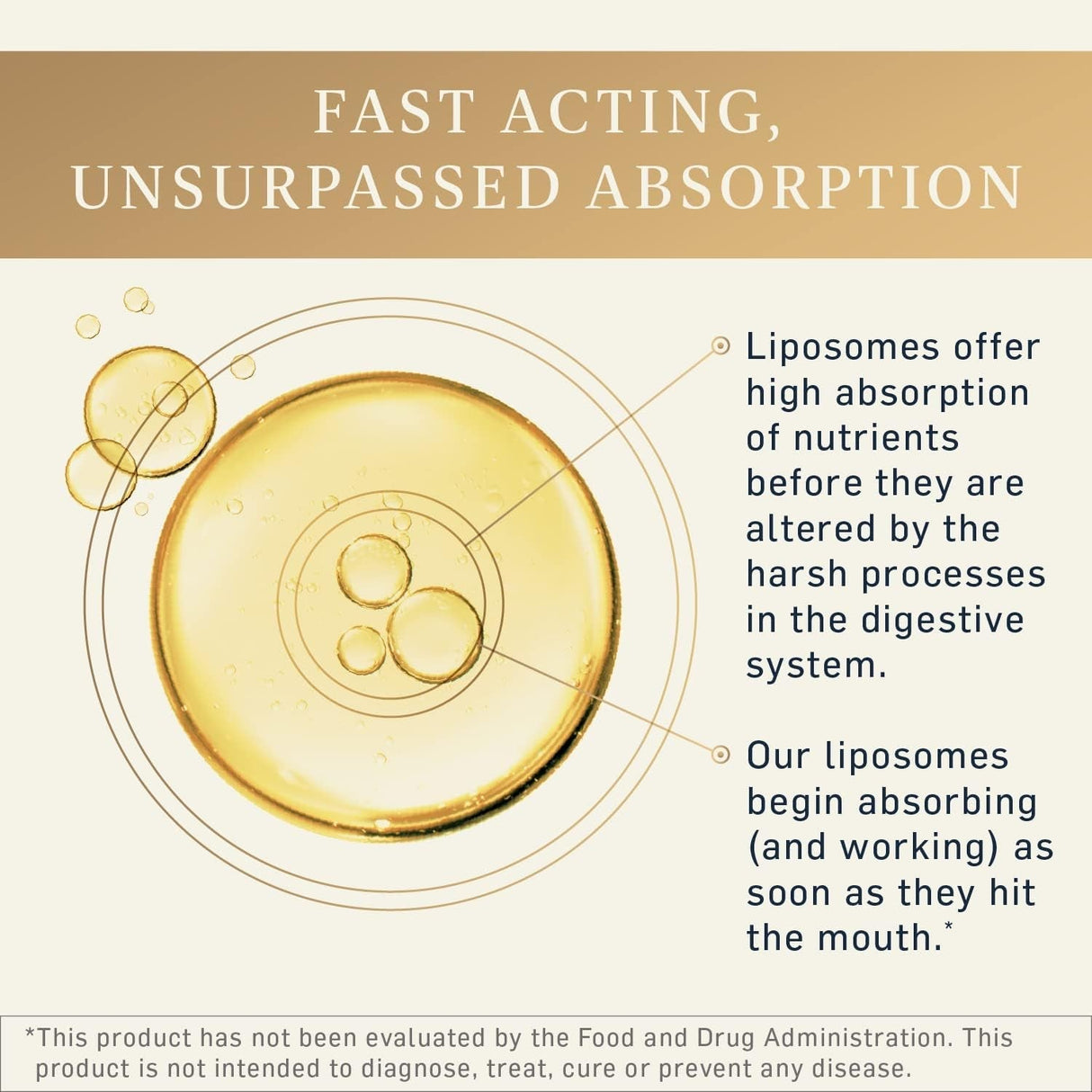 The One - liposomal energy supplement for mitochondria - Uno Vita AS