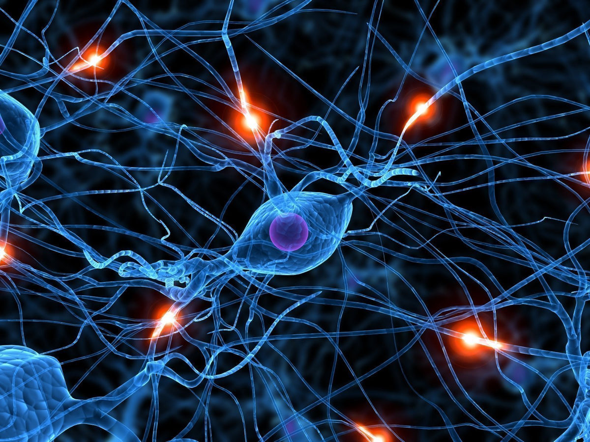 TimeWaver Frequency – Transforming Health with Advanced Technology - Uno Vita AS